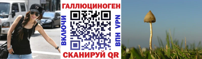shop состав  гидра ссылка  Власиха  как найти закладки  Псилоцибиновые грибы Psilocybine cubensis 