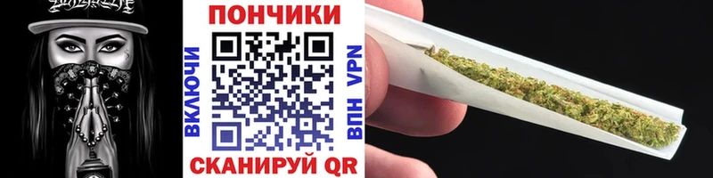 где купить наркоту  Власиха  Шишки марихуана сатива 